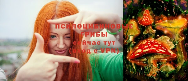 мяу мяу мука Алзамай