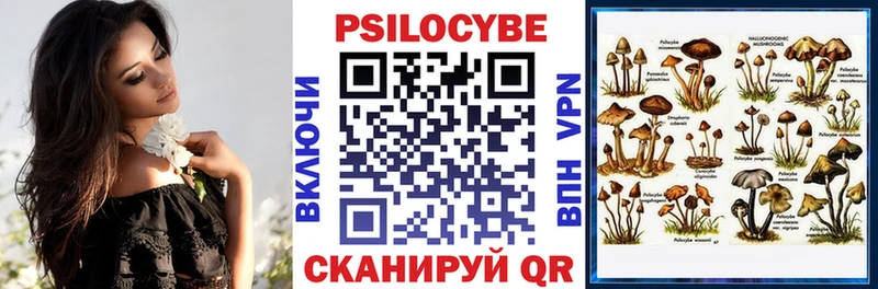 мега вход  Иланский  Галлюциногенные грибы Psilocybe  купить  